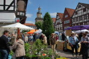 Bauernmarkt in Rinteln anlässlich des Felgenfestes im Wesertal am 02. Juni 2013