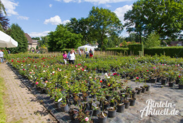 Ein Wochenende mit Rosen und Stauden: Es grünt so grün bei der Baumschule Fechner in Krankenhagen