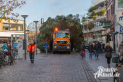 Sonderfahrt mit Hindernissen: Rintelner Weihnachtsbaum steht auf dem Marktplatz