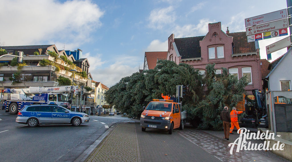 03 rintelnaktuell weihnachtsbaum adventszauber marktplatz tanne