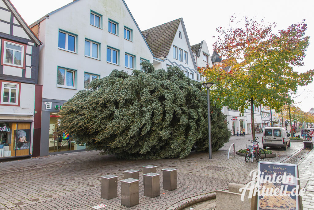 04 rintelnaktuell weihnachtsbaum adventszauber marktplatz tanne