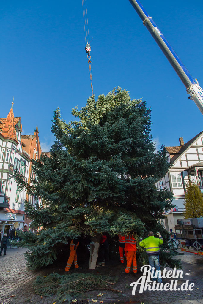 09 rintelnaktuell weihnachtsbaum adventszauber marktplatz tanne