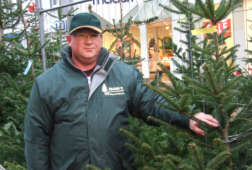 O Tannenbaum: Jetzt noch schnell einen Baum zu Weihnachten sichern