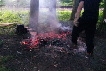 Lagerfeuer im Wald bei Engern löst Feuerwehreinsatz aus
