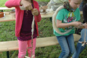 Kinder der Naturschutzjugend bauen Handspindeln und stellen Wolle her