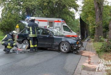 Verkehrsunfall in "Pomona"-Kurve: BMW prallt gegen Baum