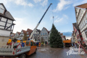 Der Weihnachtsbaum ist da: Blautanne steht am Rintelner Marktplatz