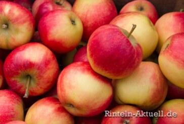 Hohenrode: Apfelfest von Lions Club und NABU Rinteln