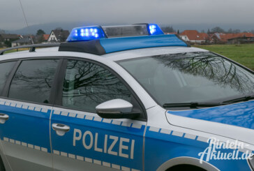 Polizeimeldungen: Zehn Radsätze gestohlen / Kennzeichen weg / Auto zerkratzt