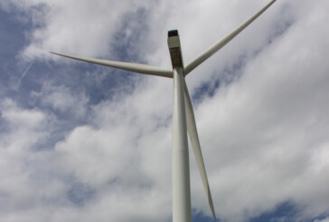 NABU lobt Vorlage der Rintelner Stadtverwaltung zu Windkraftanlagen