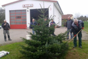 Feuerwehr Steinbergen pflanzt Weihnachtsbaum