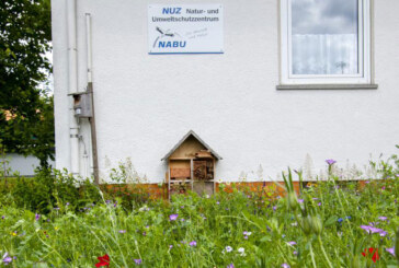 NABU Rinteln legt Blumenwiese für Stieglitz an, Blütenpracht am „NUZ“