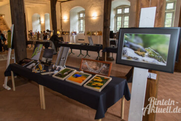 „Facetten der Fotografie“: Neue Ausstellung im Kloster Möllenbeck