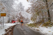 Wintereinbruch im Weserbergland: Schnee in Rinteln und Umgebung, Bäume und Äste auf den Straßen