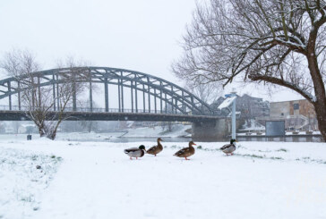 Tief „Egon“ kommt: Deutscher Wetterdienst warnt vor starkem Schneefall in Schaumburg