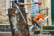 Straße „Blumenwall“: Vollsperrung wegen Baumfällarbeiten