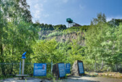 Mit Downhill auf Erfolgskurs: Mountainbike-Park am Steinzeichen Steinbergen