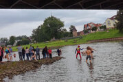 Teilnehmer von 12 bis 78: Weserschwimmer erleben den Fluss am eigenen Leib