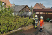 Steinbergen: Hecke bei Unkrautvernichtung in Brand geraten