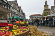 Rintelner Apfelmarkt: Von Äpfeln, Bienen und dem schwierigen Jahr 2017