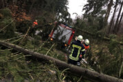 Orkan „Friederike“ wütet in Rinteln: Rund 100 Einsatzstellen für Feuerwehr