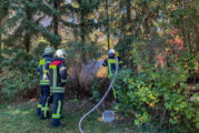 Kompost in Flammen: Einsatz für Feuerwehren Rinteln und Todenmann
