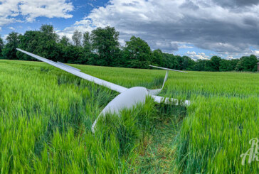 Engern: Segelflugzeug landet im Getreidefeld