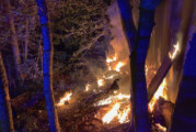 Uchtdorf: Feuerwehreinsatz in Waldstück