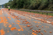 Stau auf der A2: Eine Tonne Möhren auf Autobahn gelandet