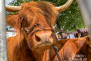 Gutes aus der Region: Rintelner Bauernmarkt zum Felgenfest im Wesertal am 12. Juni