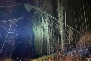 Bäume umgestürzt: Wennenkämper Straße voll gesperrt