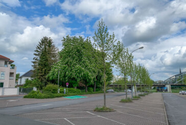 Rinteln: Weseranger-Parkplatz vom 21. bis 23. April gesperrt