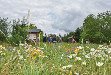 „Melissa“ feiert Premiere: Insektenschaugarten und Blumenwiese im Rintelner Süden feierlich eingeweiht