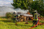 Feuerwehreinsatz an Gärtnerei in Veltheim