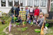 Grundschule Unter der Schaumburg pflanzt „Tulpen für Brot“
