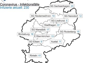 Corona-Lage im Landkreis Schaumburg: Aktuell 41 Positivgetestete in Rinteln