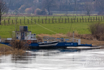 Wegen Hochwasser: Weserfähre Großenwieden fährt nicht mehr