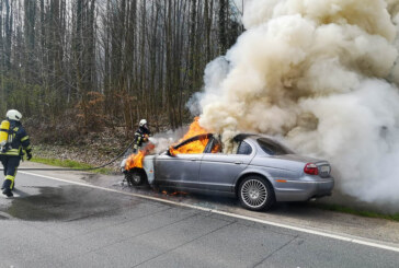 Steinbergen: Feuerwehr löscht brennenden Jaguar auf B83