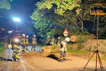 Feuerwehreinsatz in Exten: Baum stürzt auf Straße