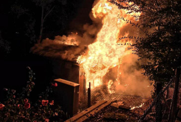 Einsatz für Feuerwehr Rinteln: Erneut Gartenhaus in Flammen