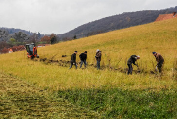 Domäne Coverden stellt Flächen bereit: Mehr Heckenwege für Rinteln zugunsten der Biotopvernetzung