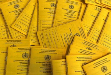 Porta Westfalica: Polizei findet bei Kontrolle Drogen und 119 gefälschte Impfausweise