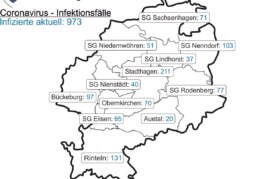 Corona-Inzidenz in Schaumburg steigt am Freitag auf 493