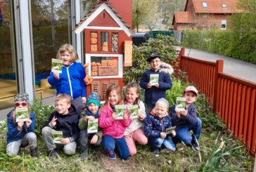 Frisch renoviert: Kinder der Nordstadtkita bereiten Saisonstart für Insekten vor