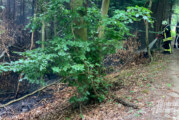 Feuerwehr bekämpft Flächenbrand im Wald bei Steinbergen