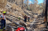 Schaumburger Feuerwehrkräfte weiterhin bei Waldbrandbekämpfung in Sachsen im Einsatz