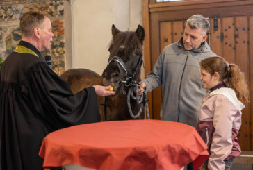 Pferd in der Kirche beim ersten Tiersegnungsgottesdienst in St. Nikolai