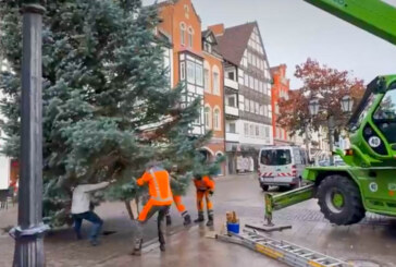 Mit Blaulicht in Richtung Marktplatz: Rinteln bekommt wieder einen Weihnachtsbaum