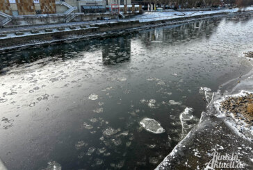 Rinteln: Eisschollen auf der Weser / Wetterdienst warnt vor Glatteis am Montag