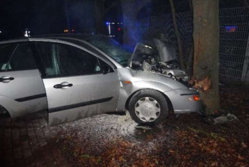 Rinteln: 18-Jähriger bei Unfall im Industriegebiet schwer verletzt / Ford prallt gegen Baum